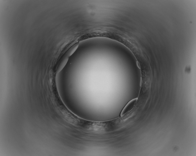 X0000091470758200708161359