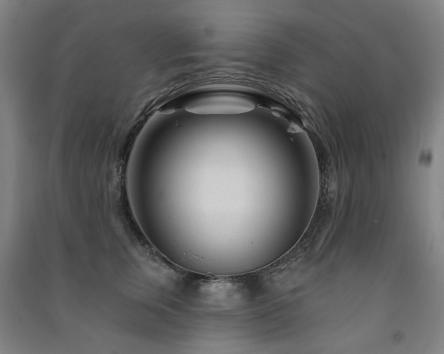 X0000091470759200708161359