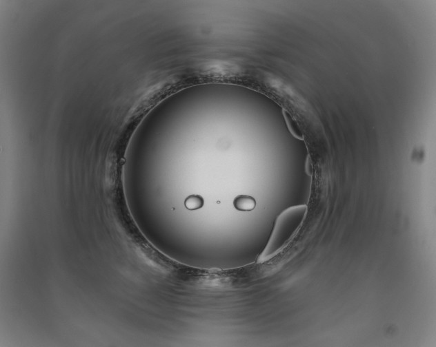 X0000091470760200708161359