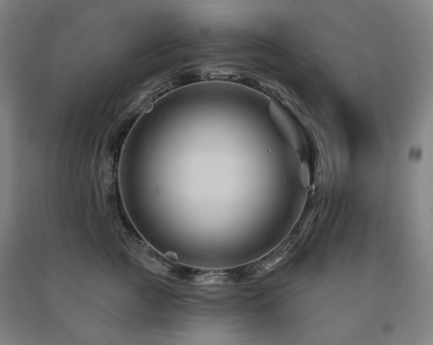 X0000091470761200708161359