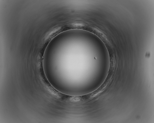 X0000091470762200708161359