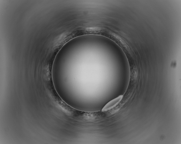 X0000091470764200708161359