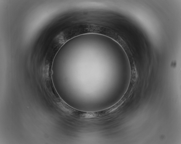 X0000091470765200708161359