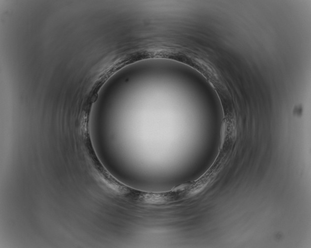 X0000091470766200708161359