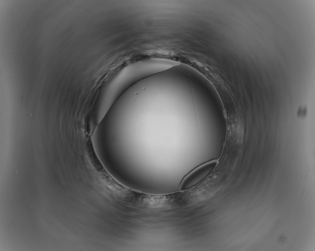 X0000091470767200708161359