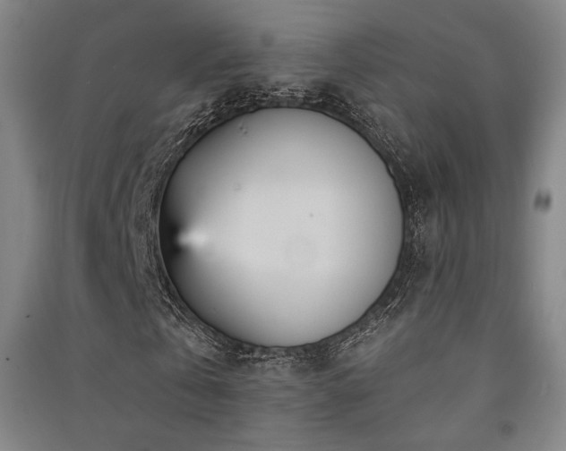 X0000091470769200708161358