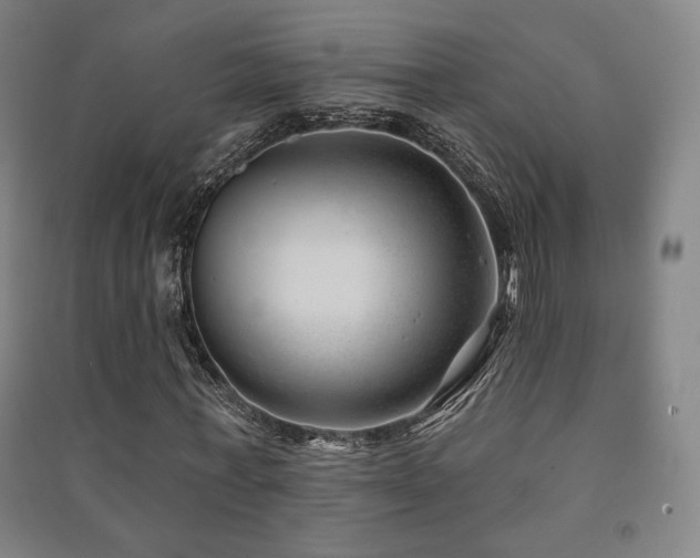 X0000091470771200708161358