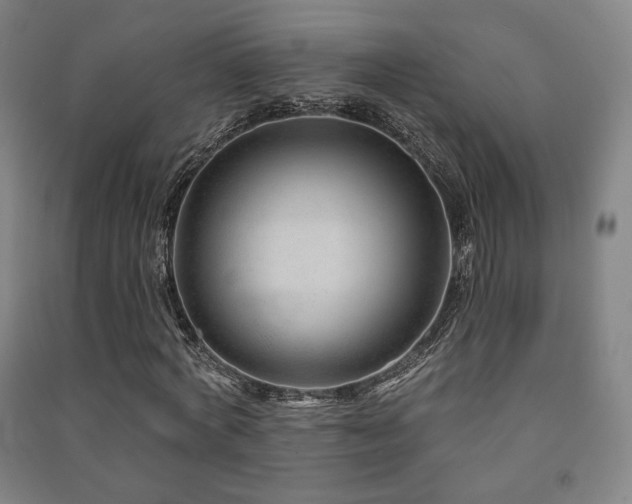 X0000091470772200708161358