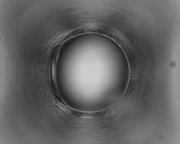 X0000091470773200708161358