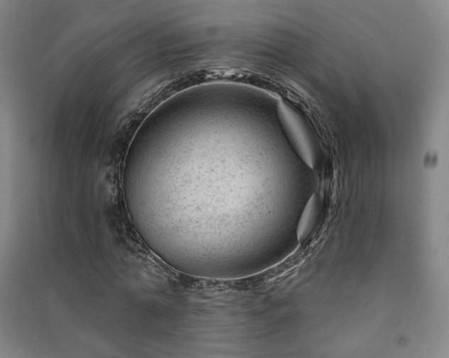 X0000091470774200708161358