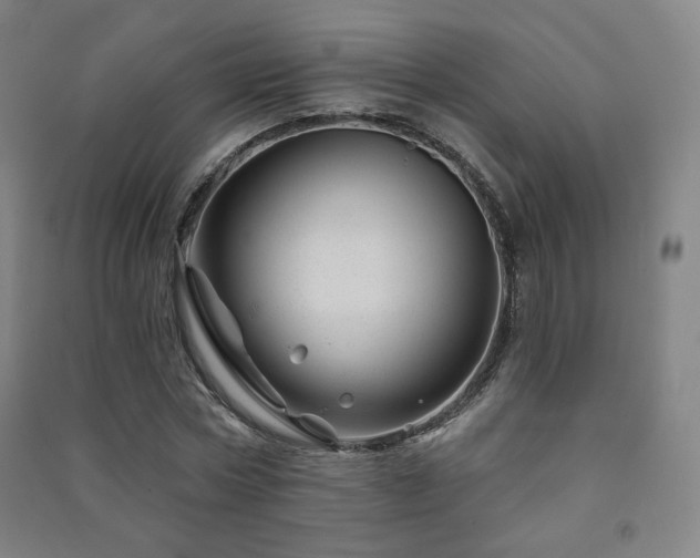 X0000091470778200708161358