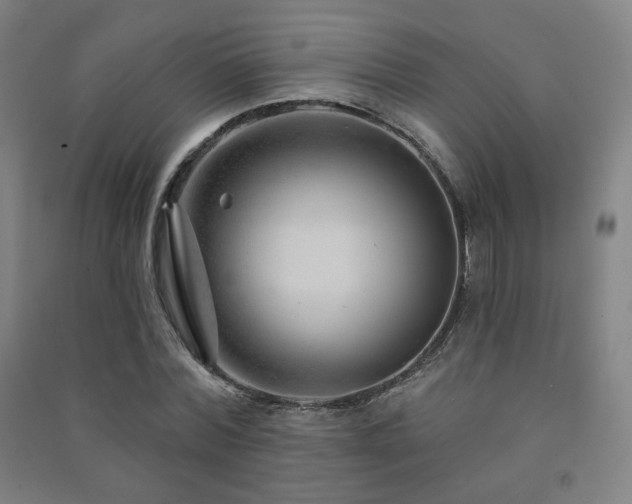 X0000091470780200708161358