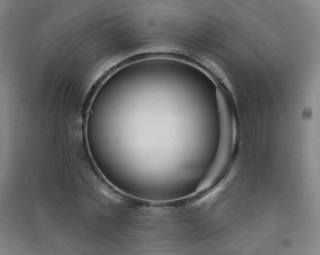 X0000091470781200708161358