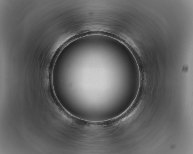 X0000091470782200708161358