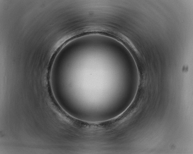 X0000091470786200708161358
