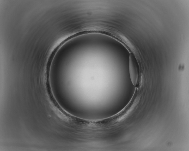 X0000091470787200708161358
