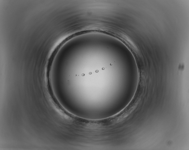 X0000091470788200708161358
