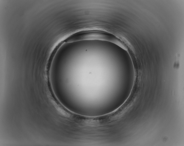 X0000091470789200708161358