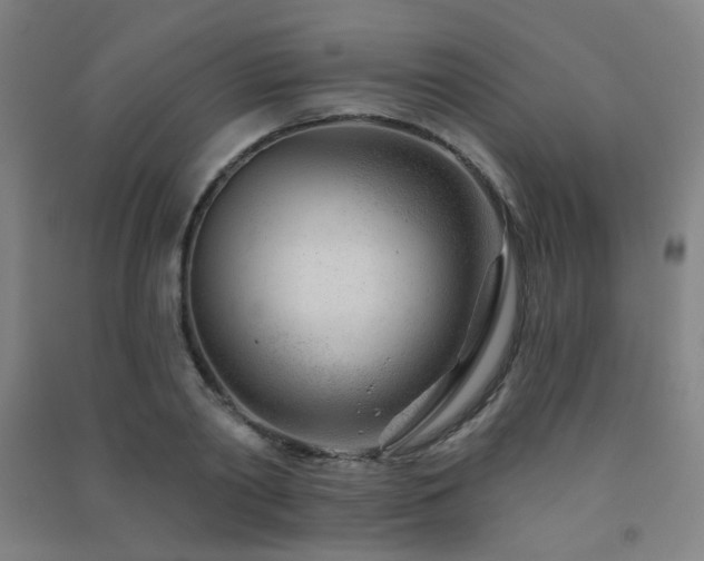 X0000091470790200708161358
