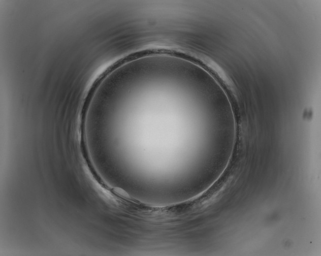 X0000091470791200708161358