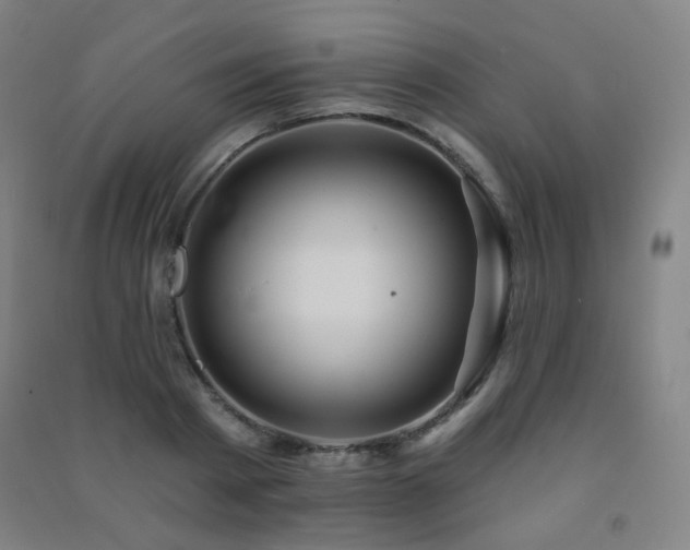 X0000091470793200708161358