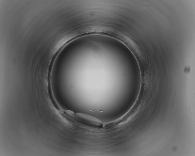 X0000091470794200708161358
