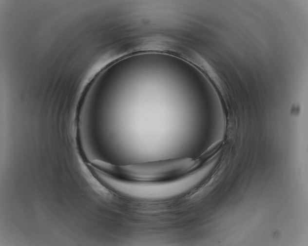 X0000091470795200708161358