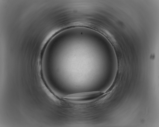 X0000091470796200708161358