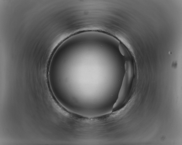 X0000091470797200708161358