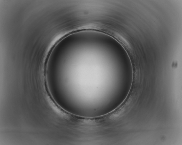 X0000091470800200708161358