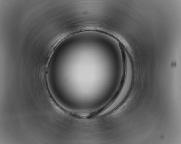 X0000091470801200708161358