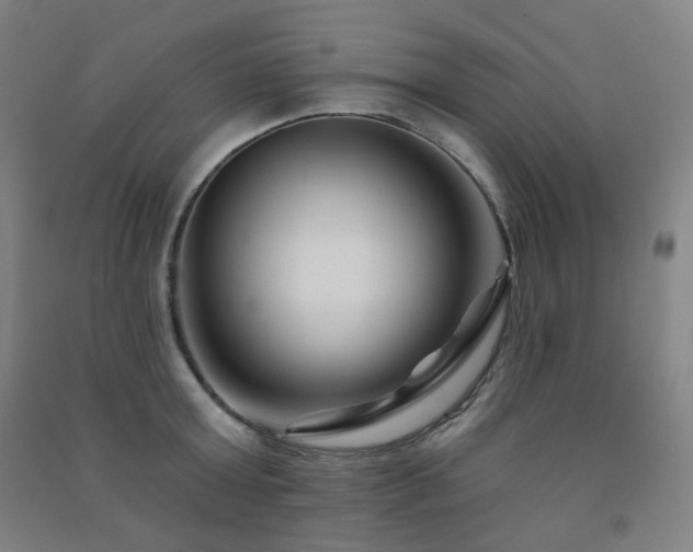 X0000091470803200708161358