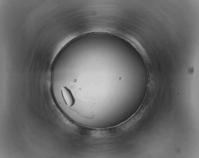 X0000091470804200708161358