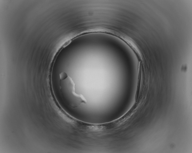 X0000091470805200708161358