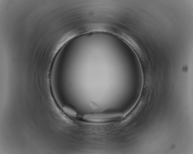 X0000091470806200708161358
