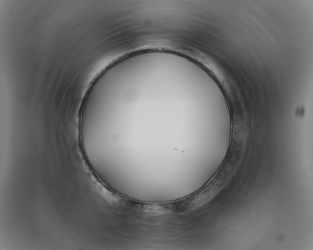 X0000091470807200708161358