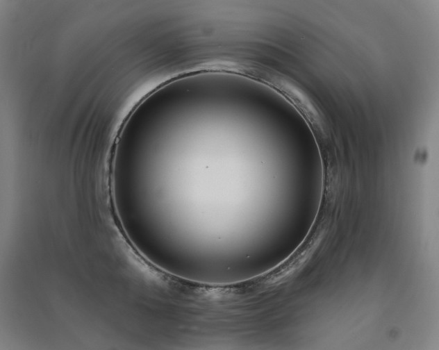 X0000091470808200708161358