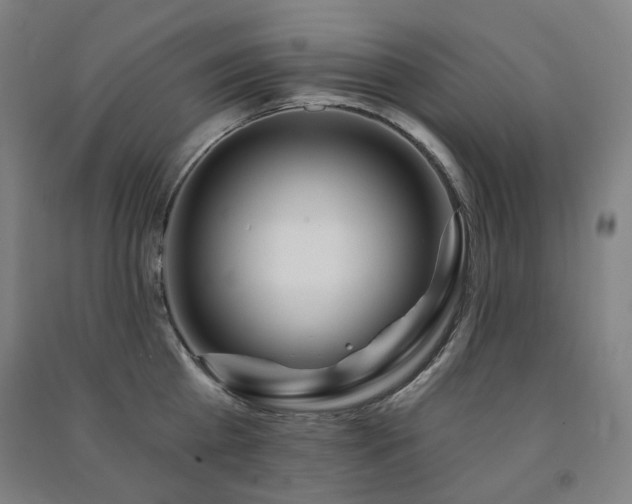 X0000091470809200708161358