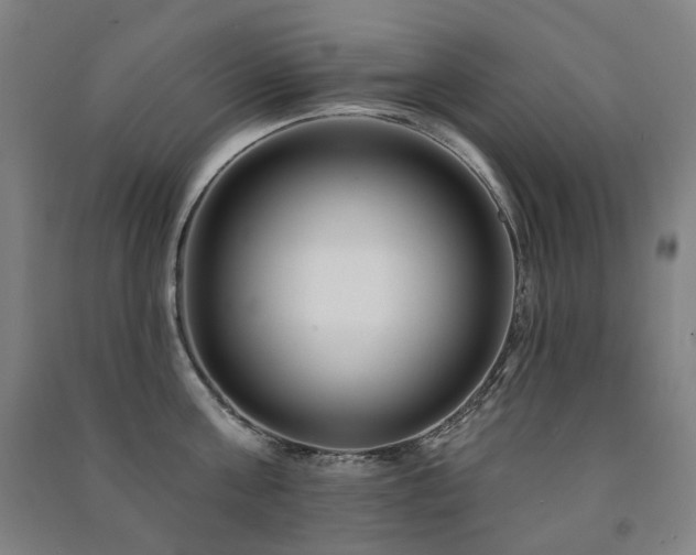 X0000091470811200708161358