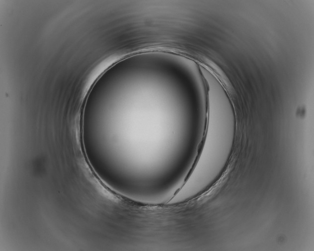 X0000091470812200708161357