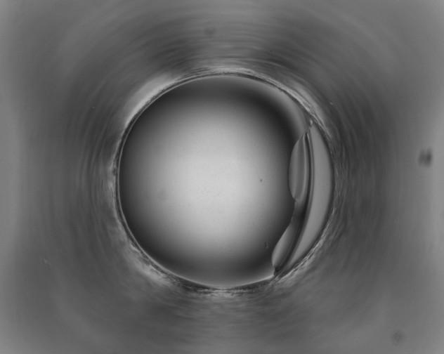 X0000091470814200708161357