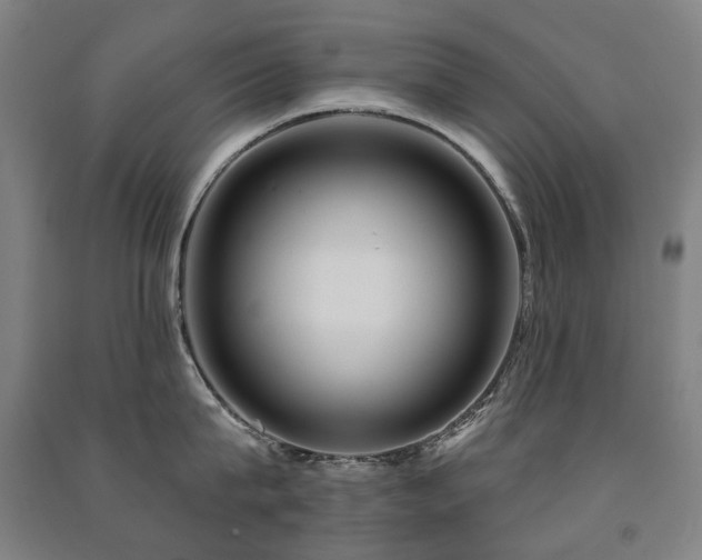 X0000091470815200708161357