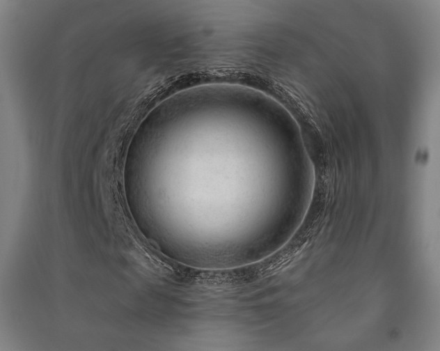 X0000091470817200708161357