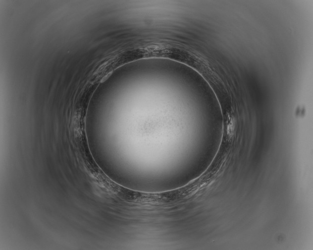 X0000091470819200708161357