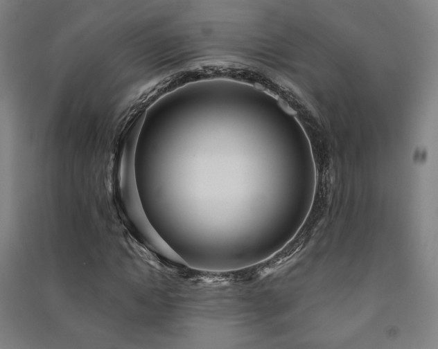 X0000091470822200708161357