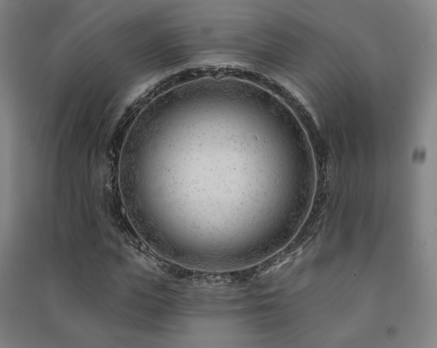 X0000091470823200708161357