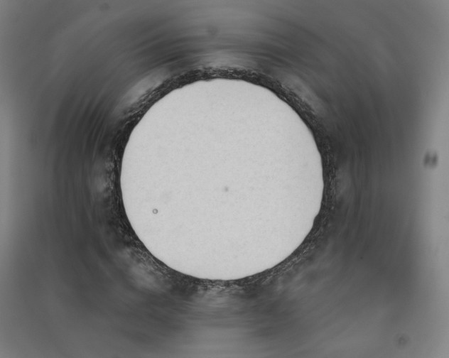 X0000091470824200708161357