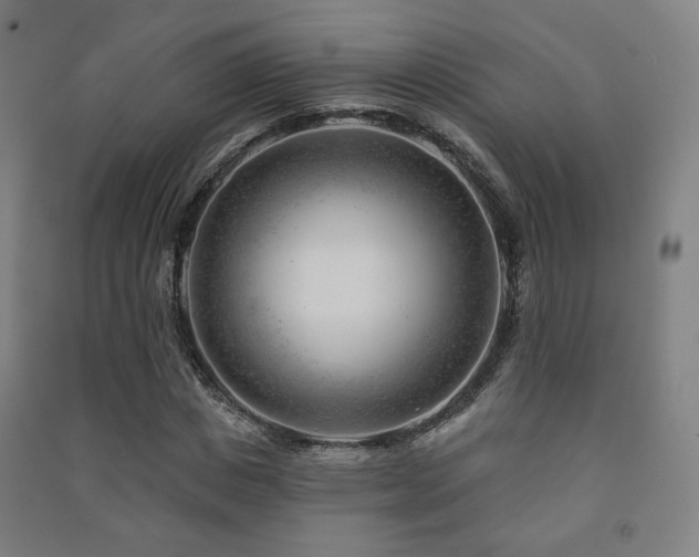 X0000091470825200708161357