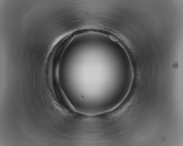 X0000091470830200708161357