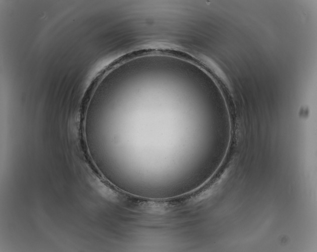 X0000091470831200708161357